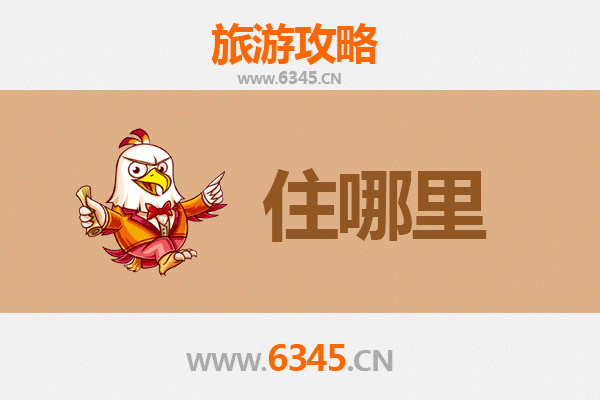 成都温江旅游民宿全攻略：沉浸式体验天府慢生活